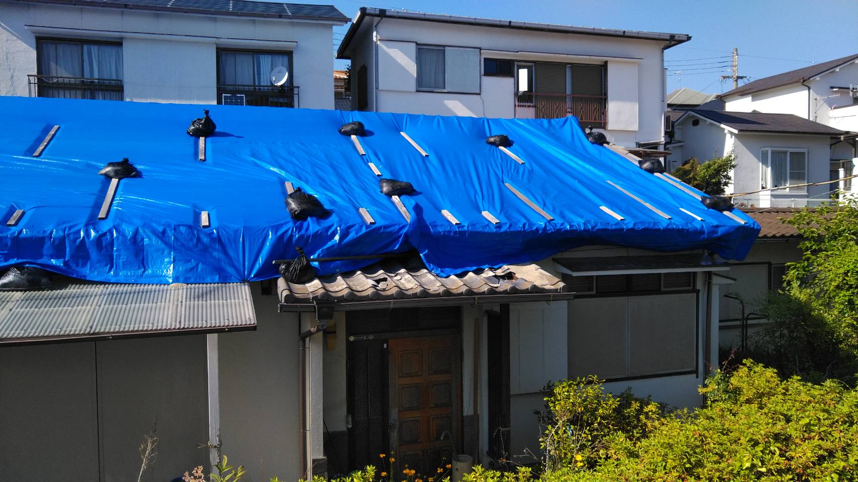 ブルー シート で 屋根 を 作る